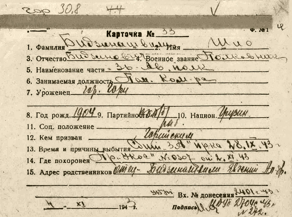 Бидзинашвили Шио Бидзинович — документ 1