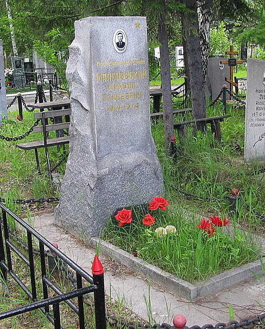 Малиновский Михаил Елисеевич — фото 2