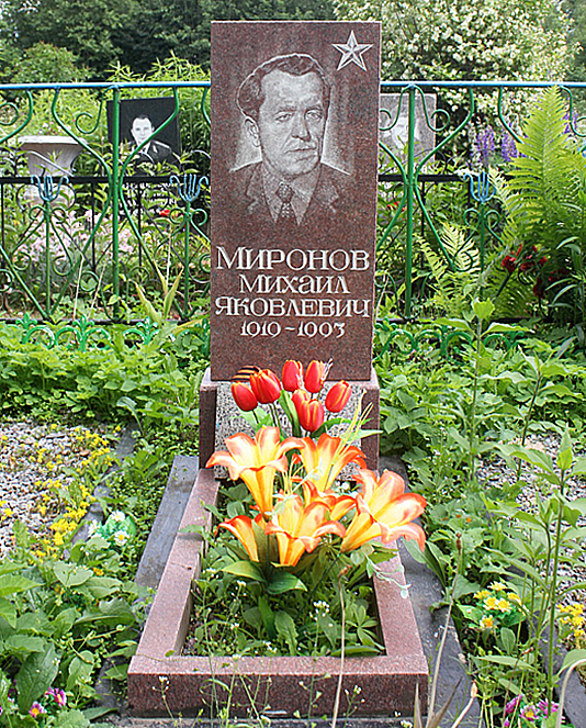 Миронов Михаил Яковлевич — фото 3