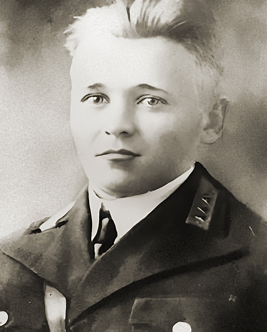 Никулин Дмитрий Егорович — фото 1