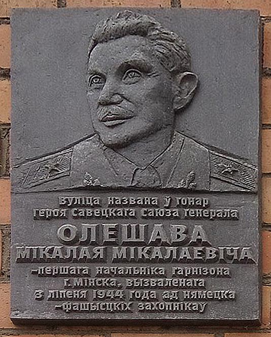 Олешев Николай Николаевич — фото 6