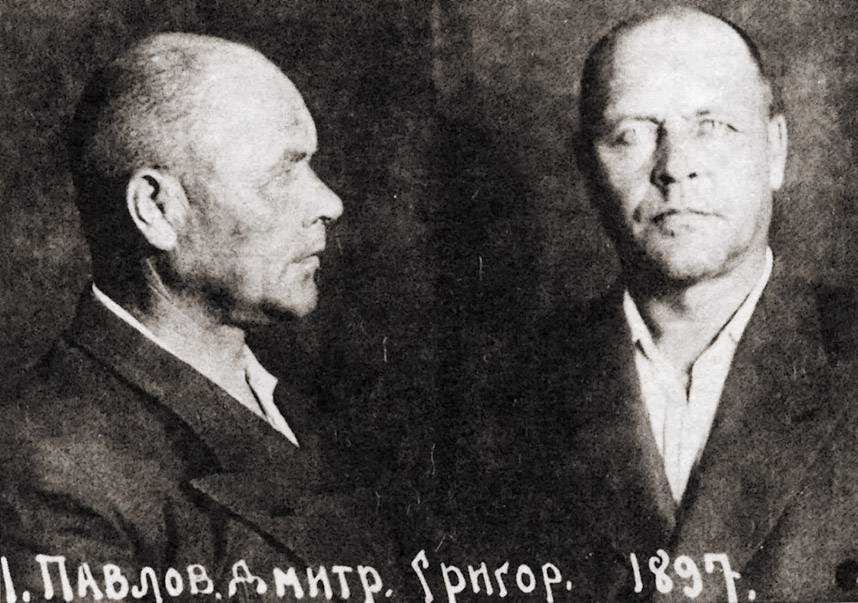 Павлов Дмитрий Григорьевич — фото 6