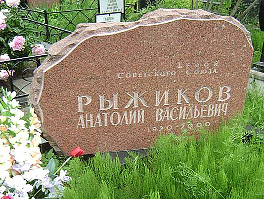 Рыжиков Анатолий Васильевич — фото 8