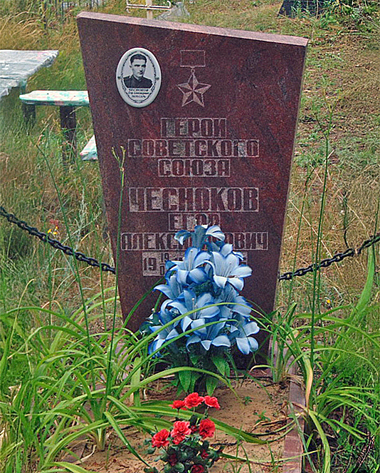 Чесноков Егор Александрович — фото 2