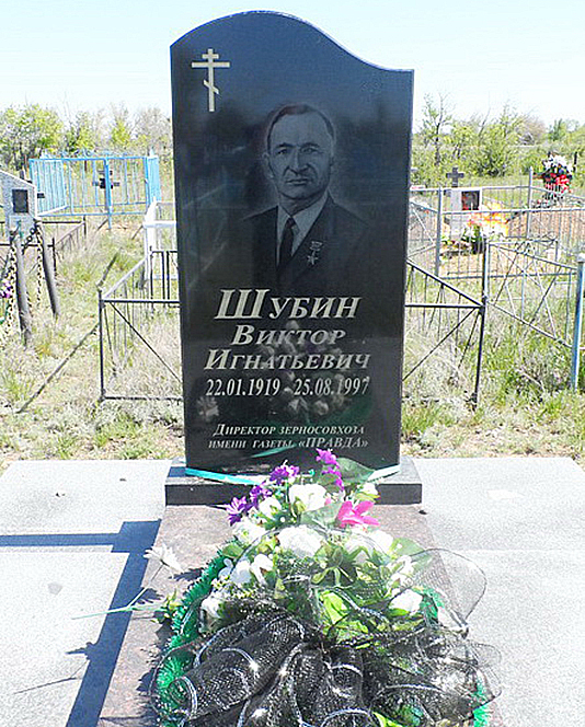 Шубин Виктор Игнатьевич — фото 1