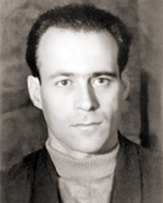 Найдич Михаил Яковлевич