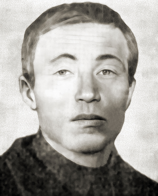 Синельников Михаил Ильич